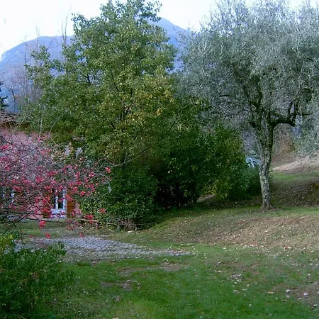 Casa Oliveto Feriehus Camaiore