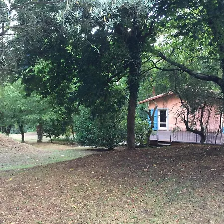 Casa de Férias Casa Oliveto